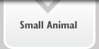 Small Animal